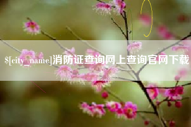 保定消防证查询网上查询官网下载