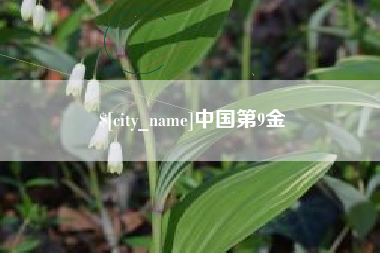 保定中国第9金