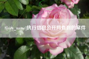 保定执行信息公开网查到的案件