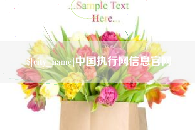 保定中国执行网信息官网