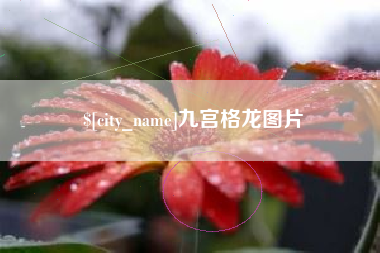 保定九宫格龙图片