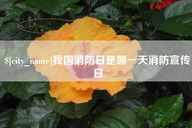 保定我国消防日是哪一天消防宣传日