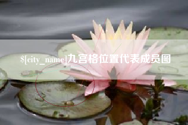 保定九宫格位置代表成员图