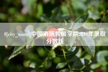保定中国消防救援学院2019年录取分数线