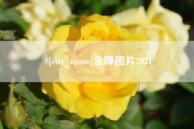 保定金牌图片2021