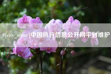 保定中国执行信息公开网平台维护