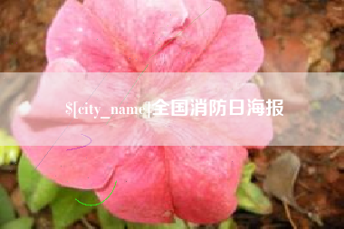 保定全国消防日海报