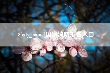 保定国家消防报名入口