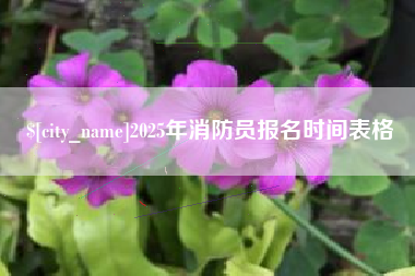 保定2025年消防员报名时间表格