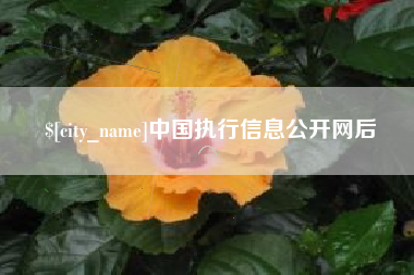 保定中国执行信息公开网后