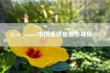 保定中国金牌是哪些项目2021