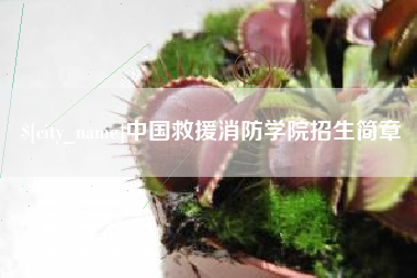 保定中国救援消防学院招生简章