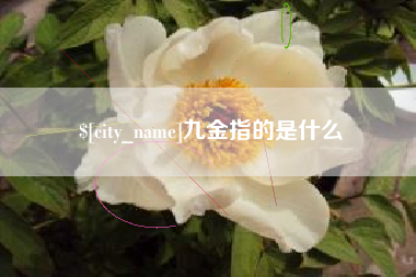 保定九金指的是什么