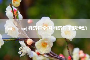 保定消防日全国消防日主题活动