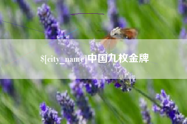 保定中国九枚金牌