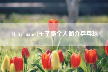 保定王子豪个人简介乒乓球