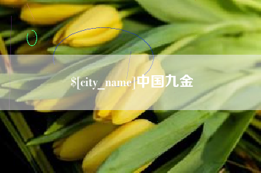 保定中国九金