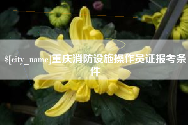 保定重庆消防设施操作员证报考条件