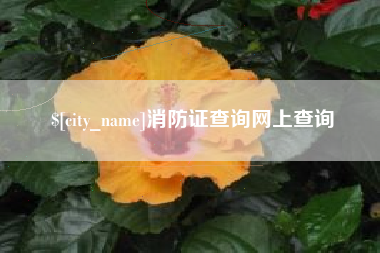 保定消防证查询网上查询