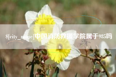 保定中国消防救援学院属于985吗