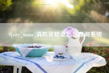 保定消防资格证怎么查询系统