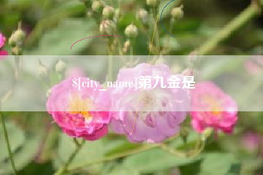 保定第九金是