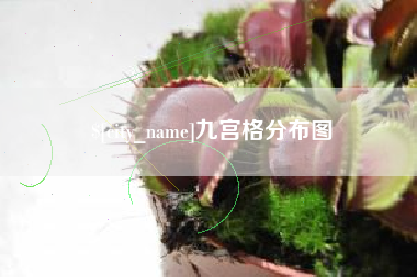 保定九宫格分布图