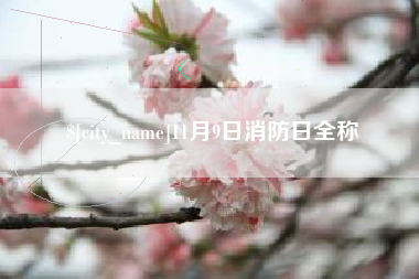 保定11月9日消防日全称