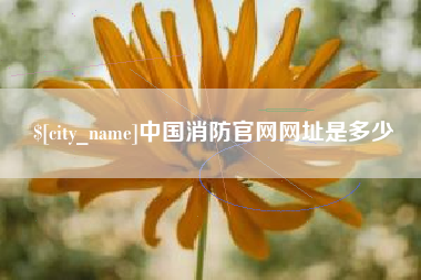 保定中国消防官网网址是多少