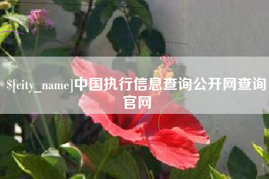 保定中国执行信息查询公开网查询官网
