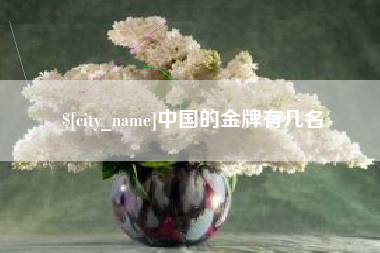 保定中国的金牌有几名