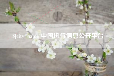 保定中国执行信息公开平台