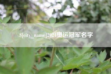保定2024奥运冠军名字
