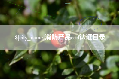 保定消防产品cccf认证目录