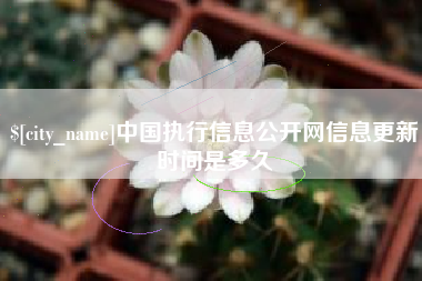 保定中国执行信息公开网信息更新时间是多久