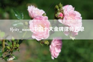 保定中国十大金牌律师名单