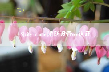 保定消防设备ccc认证