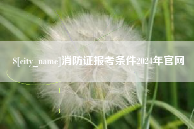 保定消防证报考条件2024年官网
