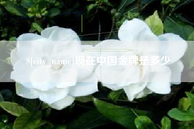 保定现在中国金牌是多少