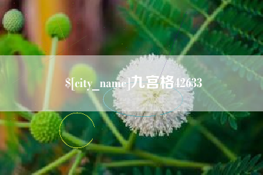 保定九宫格42633
