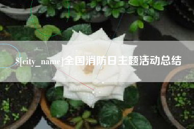 保定全国消防日主题活动总结