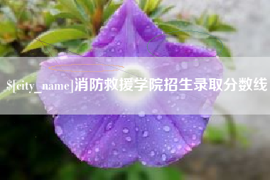 保定消防救援学院招生录取分数线