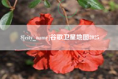 保定谷歌卫星地图2025