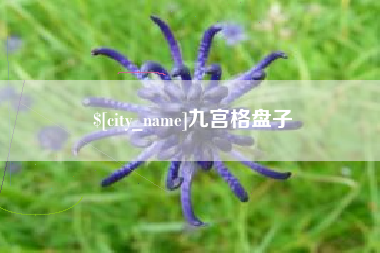 保定九宫格盘子