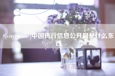 保定中国执行信息公开网是什么东西