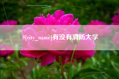 保定有没有消防大学