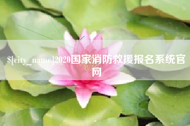 保定2020国家消防救援报名系统官网