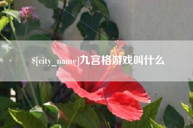 保定九宫格游戏叫什么