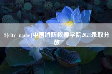 保定中国消防救援学院2021录取分数