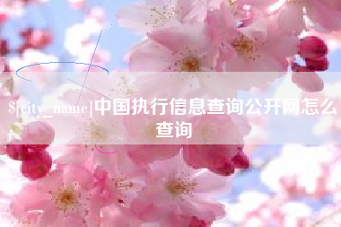 保定中国执行信息查询公开网怎么查询